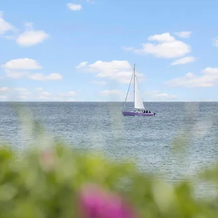 20406-samso-strandskoven-37 Ballen (Samso)