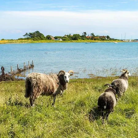 20406-samso-strandskoven-37 Ballen (Samso)